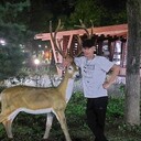 ���������� �����������, ���� ������� ����, 37 ���, ������������ ��� ������, ����� � ���������