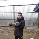 ���������� ������, ���� ����� Oleg, 25 ���, ������������ ��� ����� � ���������