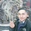 ���������� ������, ���� ������� Steven, 61 ���, ������������ 