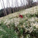  ,   , 41 ,   ,   