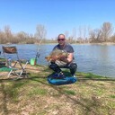  Pleven,   , 36 ,  