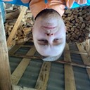  -,   , 29 ,   ,   , c , 