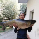  ,   , 44 ,   ,   