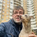 ���������� ������, ���� ������� ���������, 55 ���, ������������ ��� ����� � ���������, c�������� ���������, ���������