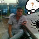  ,   Marat, 37 ,     , c 