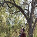 ���������� ���������, ���� ������� ������, 34 ����, ������������ ��� ������, ����� � ���������