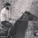 ���������� ������, ���� ������� Abu, 29 ���, ������������ ��� ������, ����� � ���������