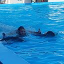 ���������� ������, ���� ������� �����, 38 ���, ������������ ��� ����� � ���������, c�������� ���������