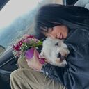 ���������� �����-���������, ���� ������� ����, 23 ����, ������������ ��� ������, ����� � ���������