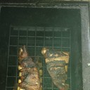 ���������� ������, ���� ������� �������, 52 ����, ������������ ��� ������, ����� � ���������, c�������� ���������