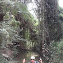 ���������� ������ ���, ���� ������� ����, 49 ���, ������������ ��� ����� � ���������, c�������� ���������