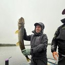 ���������� �����-���������, ���� ������� �������, 42 ����, ������������ ��� ������, ����� � ���������