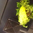 ���������� �����-���������, ���� ������� ��������, 42 ����, ������������ ��� ������, ����� � ���������