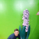   ,   , 41 ,   ,   , c 