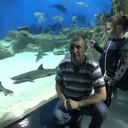  ,   , 46 ,   ,   , c 