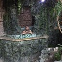 ���������� ������, ���� ������� Hayk, 43 ����, ������������ ��� ������