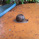  ,   , 50 ,   ,   , c , 