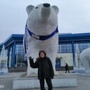 ���������� ���������, ���� ������� ���������, 43 ����, ������������ ��� ������, ���������