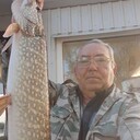  ,   , 68 ,   ,   