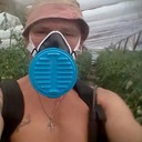  ,   , 51 ,  
