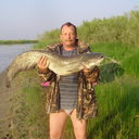  ,   , 62 ,   