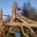 ���������� ������ ��������, ���� ������� �����, 26 ���, ������������ ��� ����� � ���������, c�������� ���������