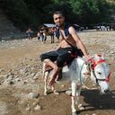  ,   Azer, 39 ,   ,   , c 