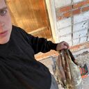 ���������� ���������, ���� ����� �����, 24 ����, ������������ ��� ������, ����� � ���������