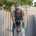 ���������� ������, ���� ������� ���������, 61 ���, ������������ ��� ������, ����� � ���������