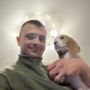 ���������� ������, ���� ������� ������, 36 ���, ������������ ��� ������, ����� � ���������, c�������� ���������