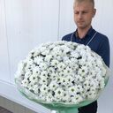  ,   , 31 ,   ,   , c , 