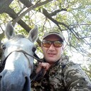   ,    , 38 ,   ,   , c 