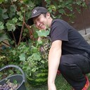 ���������� ������, ���� ������� Jolaman, 31 ���, ������������ ��� ������, ����� � ���������, c�������� ���������