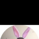 ���������� ������������, ���� ������� �������, 29 ���, ������������ ��� ������, ����� � ���������, c�������� ���������