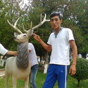  ,   , 34 ,   