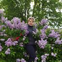 ���������� ������, ���� ������� �������, 62 ����, ������������ ��� ������, ����� � ���������