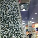 ���������� ����, ���� ����� ������, 19 ���, ������������ ��� ������, ����� � ���������