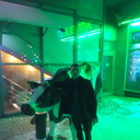 ���������� ������, ���� ������� ����, 39 ���, ������������ 