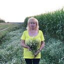 ���������� ������, ���� ������� ����, 60 ���, ������������ ��� ���������