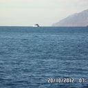 ���������� ��������-��-������, ���� ������� �������, 49 ���, ������������ ��� ����� � ���������, c�������� ���������, ���������