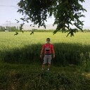 ���������� �������, ���� ������� Alisher, 40 ���, ������������ ��� ������, ����� � ���������, c�������� ���������