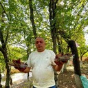 ���������� �����, ���� ������� ���� �����, 31 ���, ������������ ��� ������, ����� � ���������, c�������� ���������