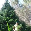 ���������� ������, ���� ������� ����, 31 ���, ������������ ��� ������, ����� � ���������, ���������