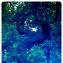  ,   0638851326, 31 ,   ,   , c 