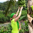 ���������� ������, ���� ������� ����, 44 ����, ������������ ��� ����� � ���������, c�������� ���������