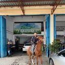 ���������� �������, ���� ������� ����, 37 ���, ������������ ��� ������, ����� � ���������