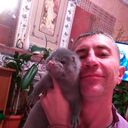  ,   , 50 ,   ,   , c 