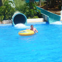 ���������� �����, ���� ������� �����, 39 ���, ������������ ��� ����� � ���������, c�������� ���������