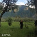 ���������� ������, ���� ������� �������, 43 ����, ������������ ��� ������, ����� � ���������