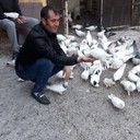  ,   Sasun, 41 ,   ,   , c 